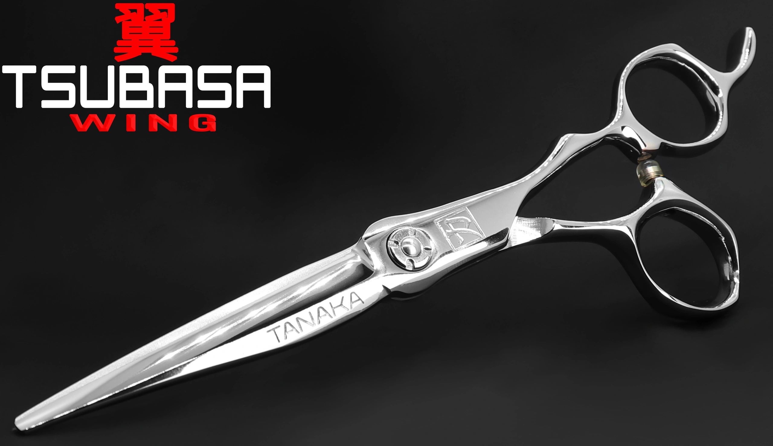 TSUBASA detail