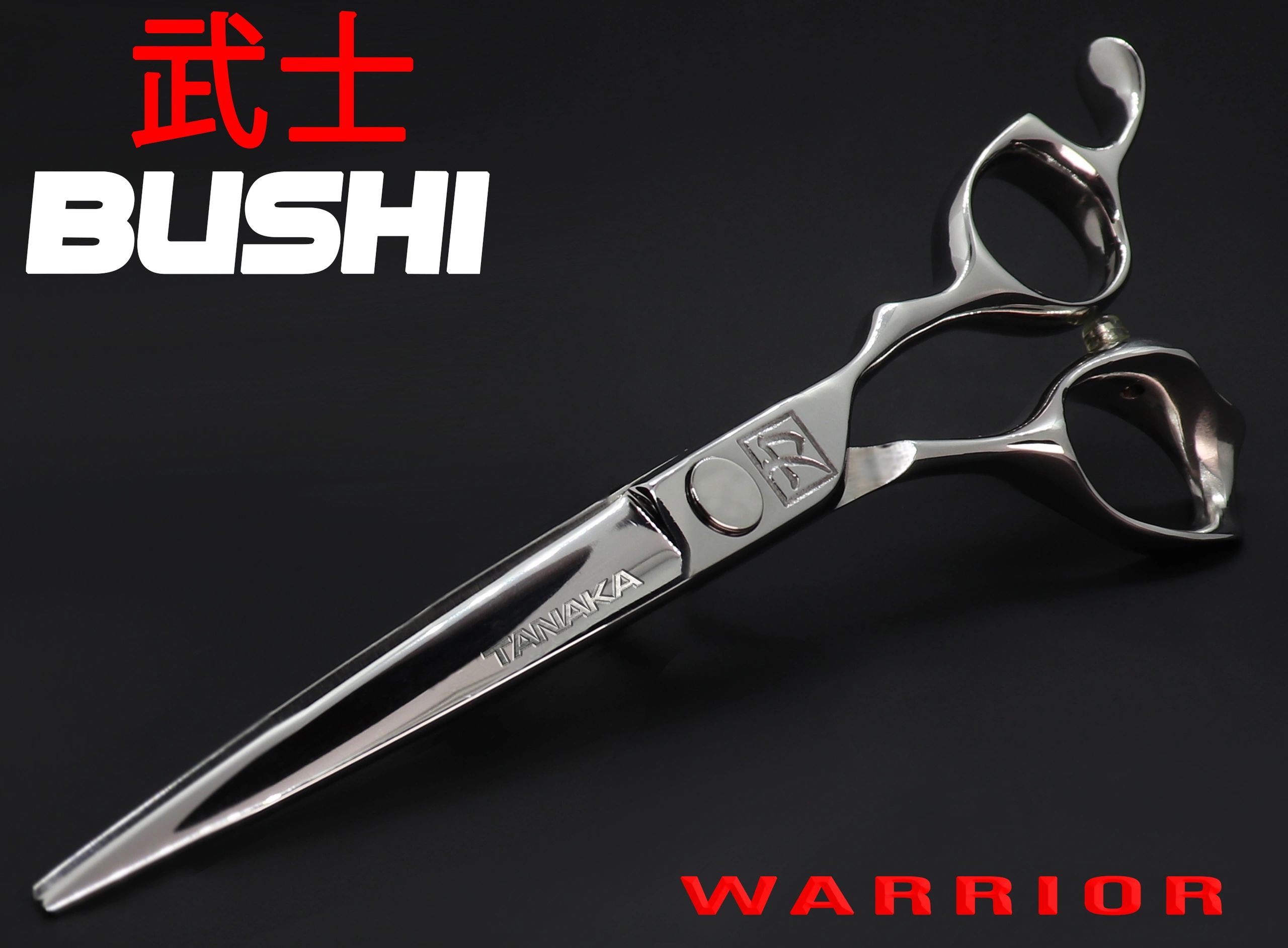 BUSHI