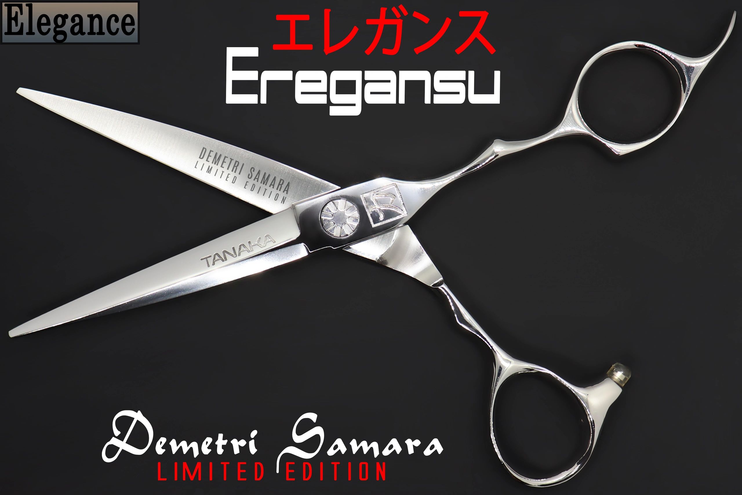 EREGANSU detail